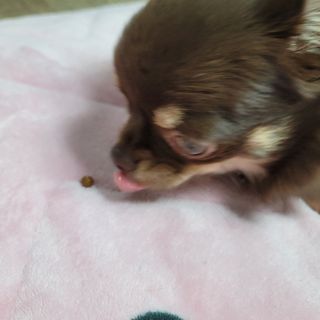 란다김님이 올린 리뷰 사진 3