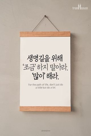 [몸엔용] 에버업 멀티비타민&미네랄, 눈건강 루테인 혈행건강 오메가3, 면역 프로바이오틱스 3종 택1 — 5점을 준 리뷰어가 2022년 4월 올린 사용 사진