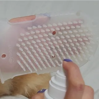 whol 키토미스트 150ml + 실리콘바디브러쉬  강아지 고양이 항균항바이러스, 강력탈취 피부 보습,무향 — 5점을 준 리뷰어가 2022년 9월 올린 사용 사진