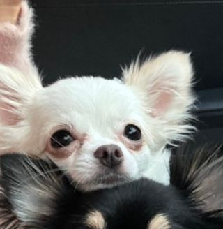 율이님이 올린 리뷰 사진 4