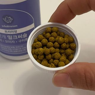 닉넴없음님이 올린 리뷰 사진 1