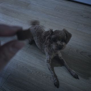 미인하님이 올린 리뷰 사진 2