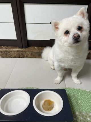엠마J님이 올린 리뷰 사진 1