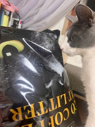 디딩님이 올린 리뷰 사진 1