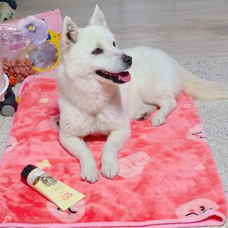 버츠비 케어플러스 릴리빙포앤노즈로션 — 5점을 준 리뷰어가 2021년 4월 올린 사용 사진