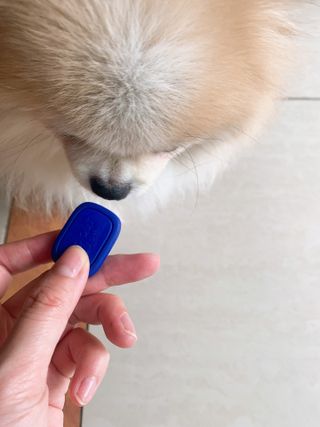 밍크마마님이 올린 리뷰 사진 3