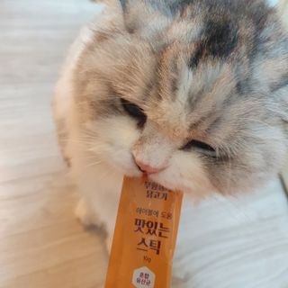 페페로니 맛있는 스틱 - 무항생제 닭고기 15개 + 알래스카 연어 15개 — 5점을 준 리뷰어가 2021년 8월 올린 사용 사진