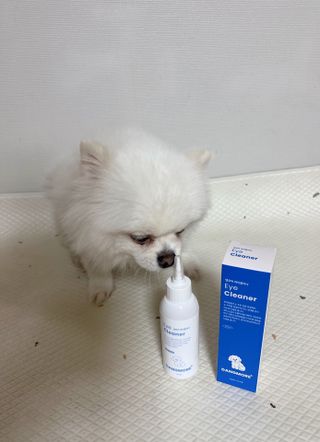 [댕모어 클리너 3종] 아이클리너 / 이어클리너 / 덴탈클리너 3종 세트 (120ml) — 5점을 준 리뷰어가 2023년 11월 올린 사용 사진