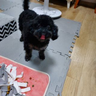 쓔리님이 올린 리뷰 사진 3