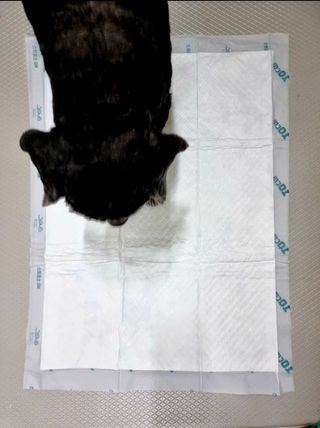 전유진님이 올린 리뷰 사진 3