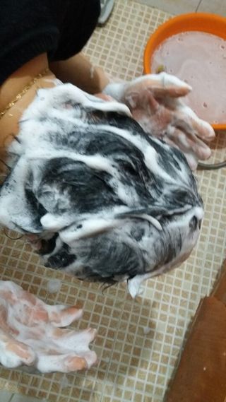 mm님이 올린 리뷰 사진 2