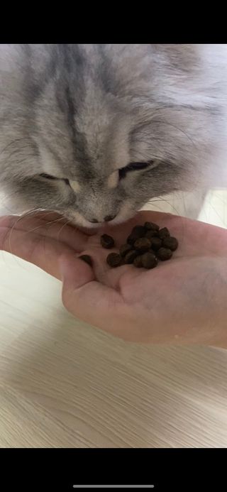 빨간망토유히님이 올린 리뷰 사진 3