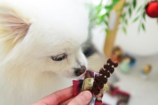 JAY님이 올린 리뷰 사진 1