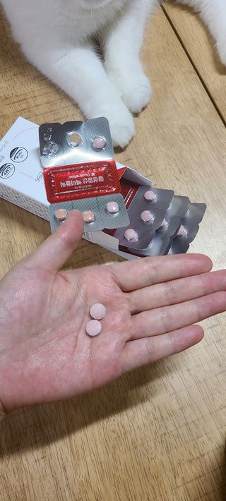[리노브] 4세대 활성엽산 액티폴릭 270mg x 30정 — 5점을 준 리뷰어가 2022년 8월 올린 사용 사진