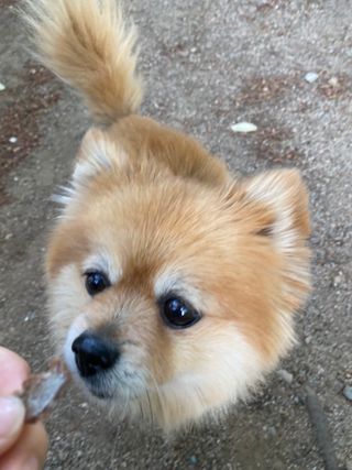 beautycatcher님이 올린 리뷰 사진 4