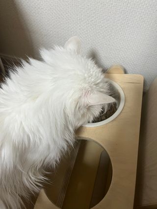 언제나님이 올린 리뷰 사진 4
