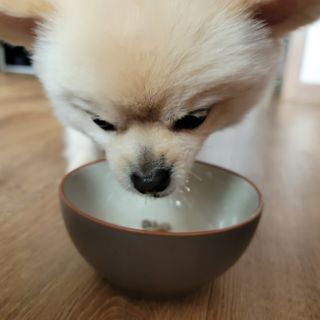 ㅈㅇ공쥬님이 올린 리뷰 사진 3