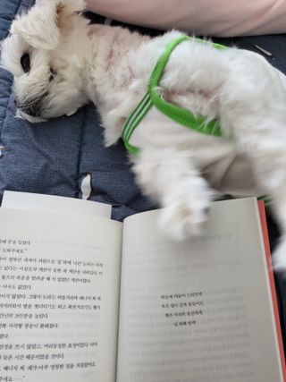 뽀오오옹님이 올린 리뷰 사진 4