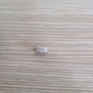 슬림플래닛 녹차카테킨 500mg 애프터밀 — 5점을 준 리뷰어가 2021년 2월 올린 사용 사진