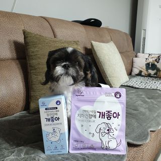My Pet Care 천연단백질 치아건강에 개좋아 — 5점을 준 리뷰어가 2021년 1월 올린 사용 사진