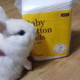 지니야님이 올린 리뷰 사진 3
