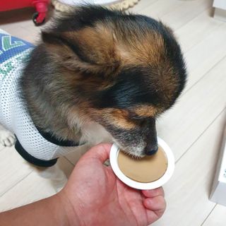 꽃수니어니님이 올린 리뷰 사진 3