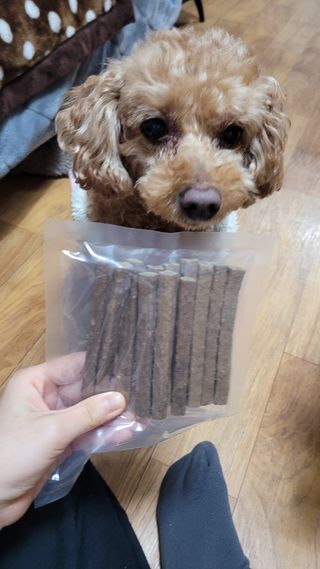 My Pet Care 천연단백질 치아건강에 개좋아 — 4점을 준 리뷰어가 2021년 1월 올린 사용 사진