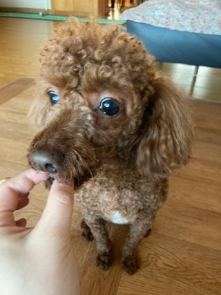 얼짱맘님이 올린 리뷰 사진 3