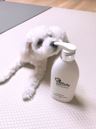 예민한 피부를 위한 코코몰리 All in one 자연유래 샴푸 — 5점을 준 리뷰어가 2021년 3월 올린 사용 사진