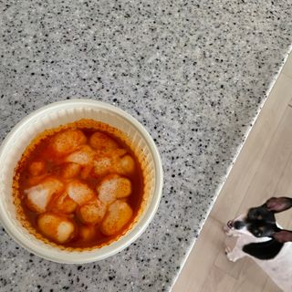 박소미님이 올린 리뷰 사진 4