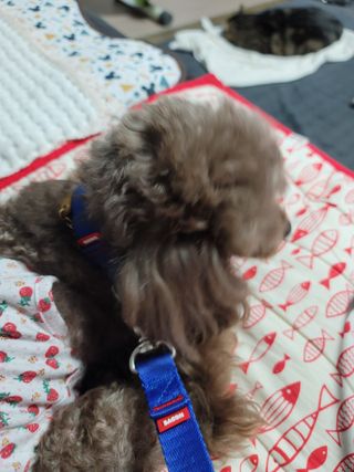 나초단맘님이 올린 리뷰 사진 1