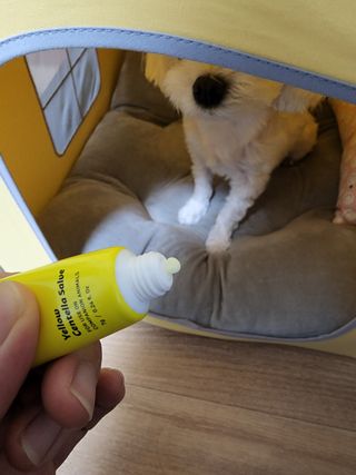 푸카푸카님이 올린 리뷰 사진 2