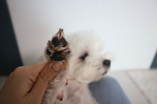 김가경님이 올린 리뷰 사진 4