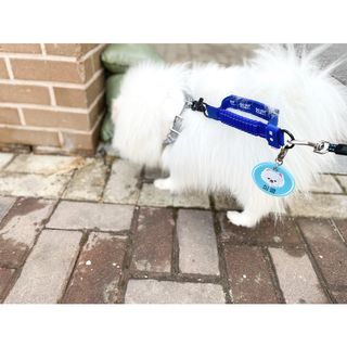 심쿵해에님이 올린 리뷰 사진 3