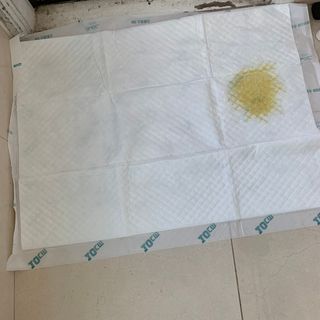 아베크 펫 와이드 프리미엄 대형 애견 강아지 배변 패드 30매 1팩 80g — 5점을 준 리뷰어가 2021년 7월 올린 사용 사진