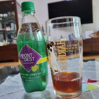 몽베스트 Montbest with Sparkling water Lemon OR Lime 20병(랜덤) — 5점을 준 리뷰어가 2022년 6월 올린 사용 사진