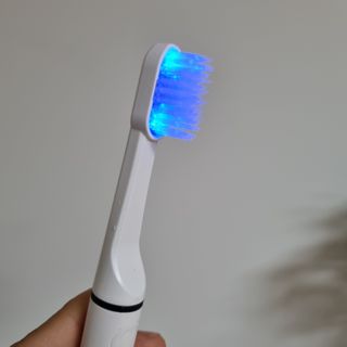달코낭님이 올린 리뷰 사진 2
