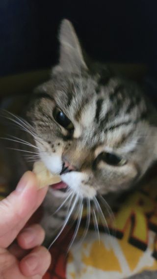 나초단맘님이 올린 리뷰 사진 1