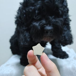 미니님이 올린 리뷰 사진 4