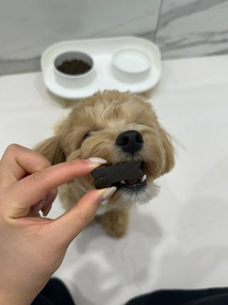 마루네님이 올린 리뷰 사진 4