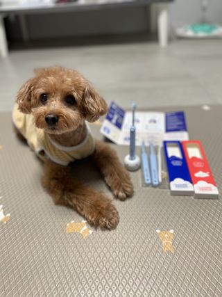 harumom님이 올린 리뷰 사진 1