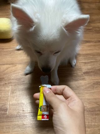 민트초코님이 올린 리뷰 사진 4