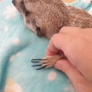 플리어님이 올린 리뷰 사진 3