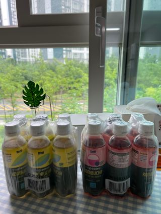 더그레잇티 콤부차 [매일유업] 더그레잇티 44kcal 콤부차 300ml *12개입 (오리지널 6개+베리리치 6개) — 4.5점을 준 리뷰어가 2023년 7월 올린 사용 사진