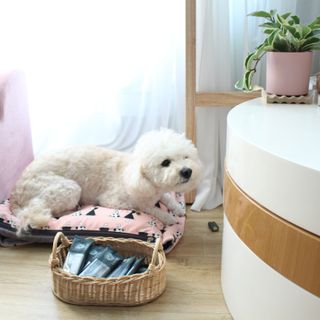 알럽은서님이 올린 리뷰 사진 1