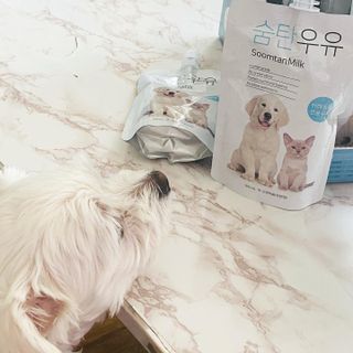 느제님이 올린 리뷰 사진 2