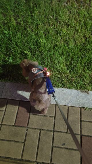 나초단맘님이 올린 리뷰 사진 1