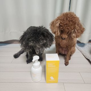 [댕모어 샴푸 2종] 댕샴푸 / 퍼피샴푸  2종 세트 (300ml) — 5점을 준 리뷰어가 2023년 10월 올린 사용 사진