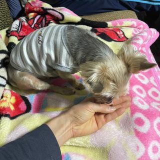 데닌슈님이 올린 리뷰 사진 2
