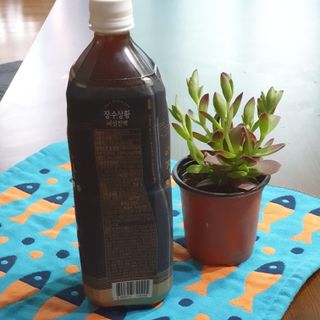 이선주님이 올린 리뷰 사진 2
